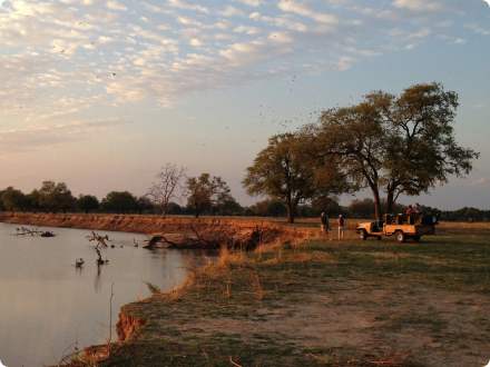 Zambia