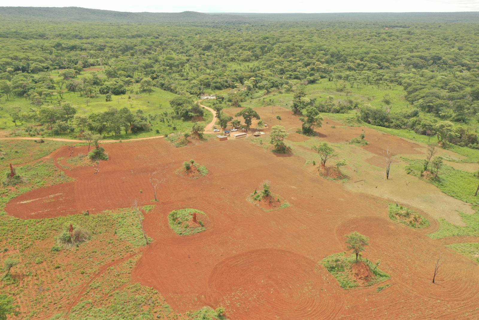 Img 0722 2020 Zambia Drone 1600x1067